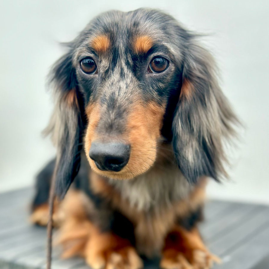 parker